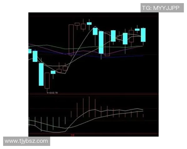 深圳羽毛球队防守策略分析与比赛表现的得失总结 深圳羽毛球队防守策略分析与比赛表现的得失总结
