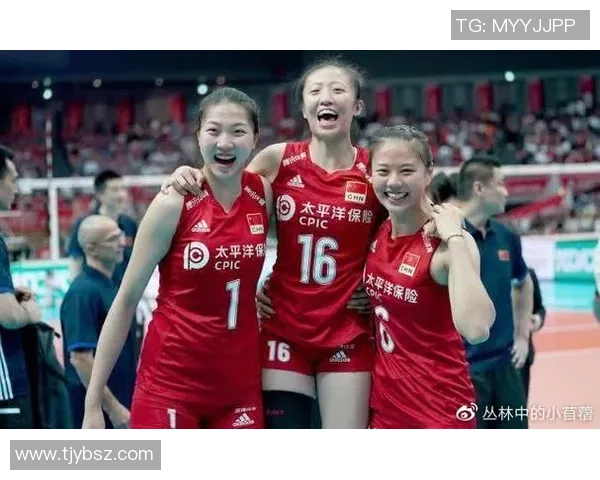 西安排球队团队协作深度对比分析与启示